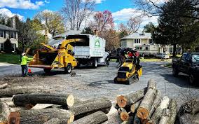 Best Lawn Drainage Solutions  in Woodlands, CA